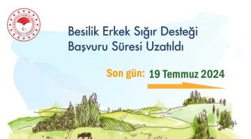 BESİLİK ERKEK SIĞIR DESTEĞİ BAŞVURU SÜRESİ UZATILDI