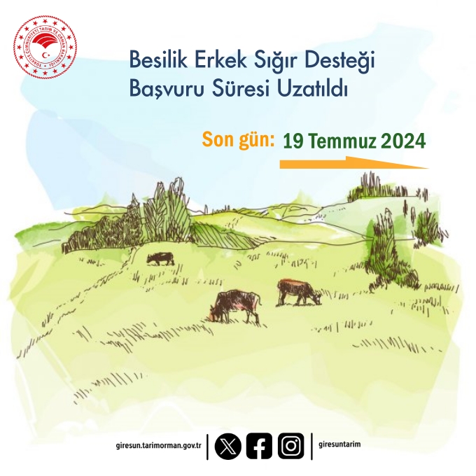 BESİLİK ERKEK SIĞIR DESTEĞİ BAŞVURU SÜRESİ UZATILDI
