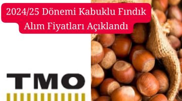 TOPRAK MAHSULLERİ OFİSİ 2024/25 DÖNEMİ KABUKLU FINDIK ALIM FİYATLARINI AÇIKLADI