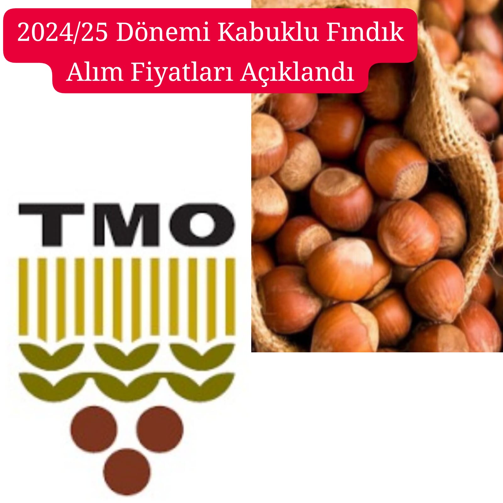 TOPRAK MAHSULLERİ OFİSİ 2024/25 DÖNEMİ KABUKLU FINDIK ALIM FİYATLARINI AÇIKLADI