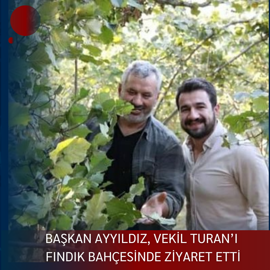 BAŞKAN AYYILDIZ, VEKİL TURAN’I FINDIK BAHÇESİNDE ZİYARET ETTİ