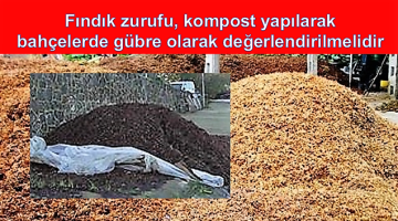 FINDIK ZURUFU, KOMPOST YAPILARAK BAHÇELERDE GÜBRE OLARAK DEĞERLENDİRİLMELİDİR