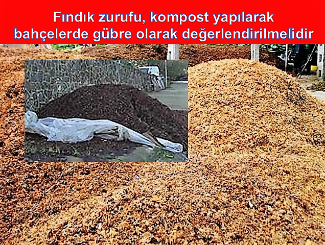 FINDIK ZURUFU, KOMPOST YAPILARAK BAHÇELERDE GÜBRE OLARAK DEĞERLENDİRİLMELİDİR