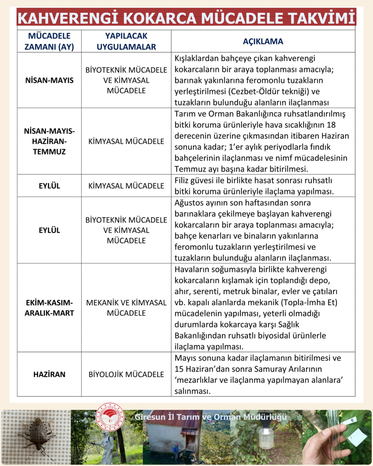 KAHVERENGİ KOKARCA İLE MÜCADELE TAKVİMİ AÇIKLANDI