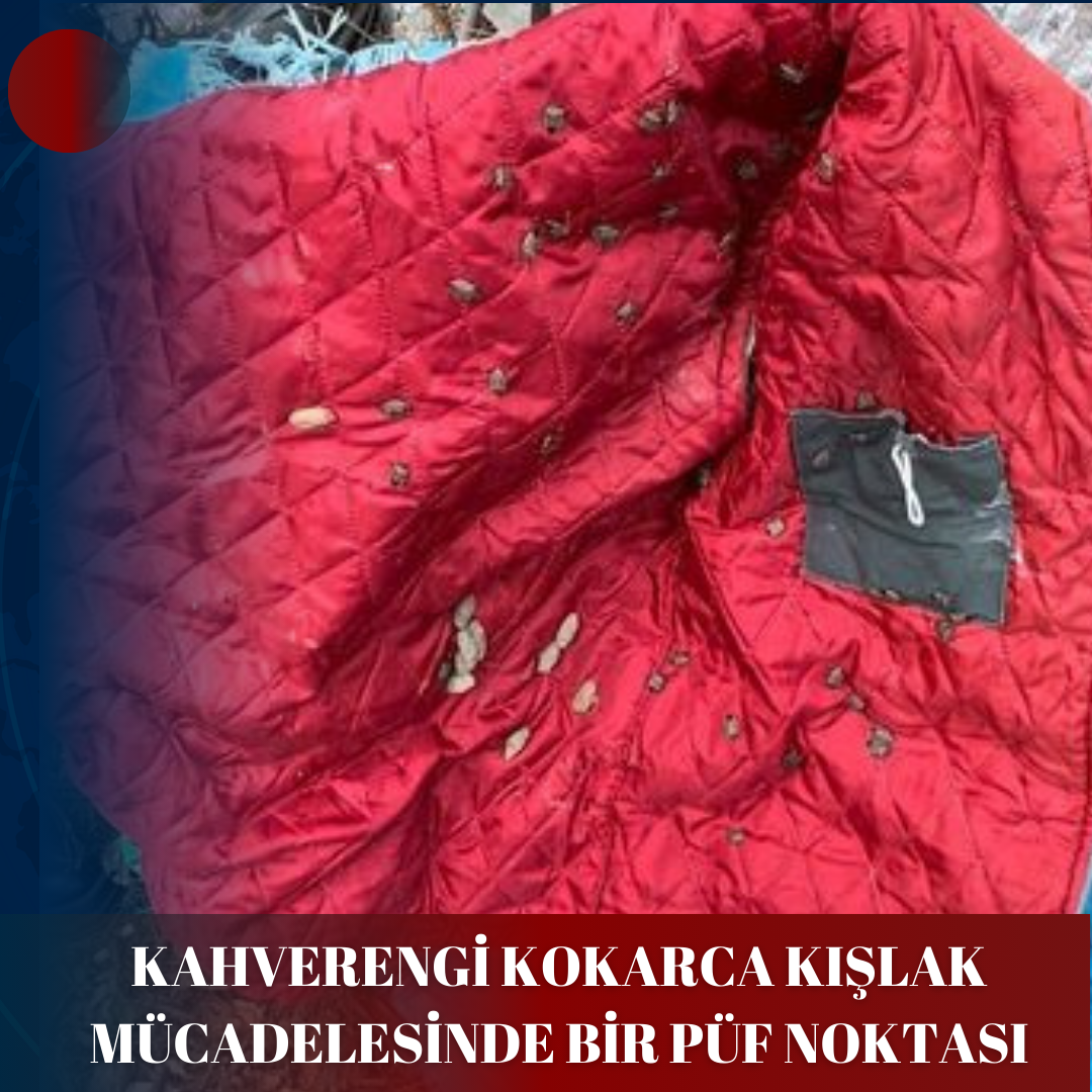 KAHVERENGİ KOKARCA KIŞLAK MÜCADELESİNDE BİR PÜF NOKTASI