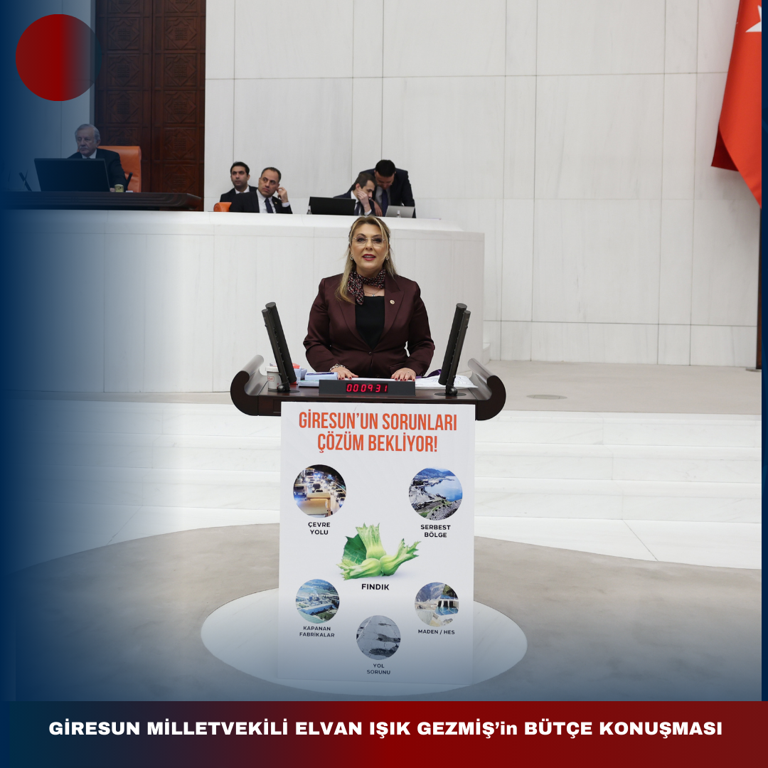 “GİRESUN’un HAKKI GASP EDİLEMEZ: ELVAN IŞIK GEZMİŞ’ten SERT BÜTÇE ELEŞTİRİSİ”