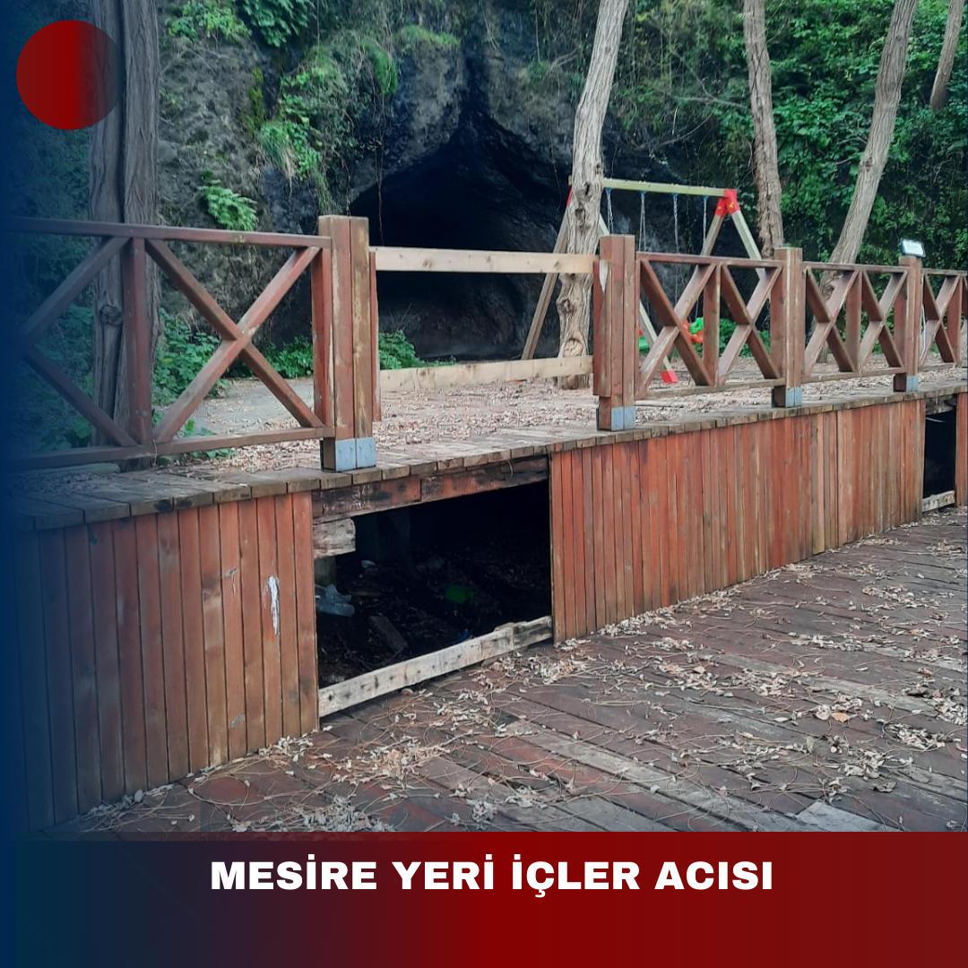 MESİRE YERİ İÇLER ACISI