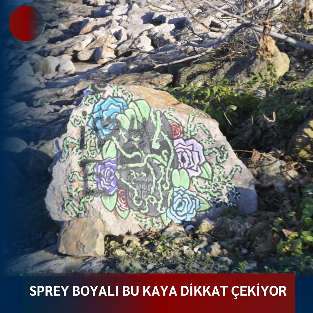 SPREY BOYALI BU KAYA DİKKAT ÇEKİYOR