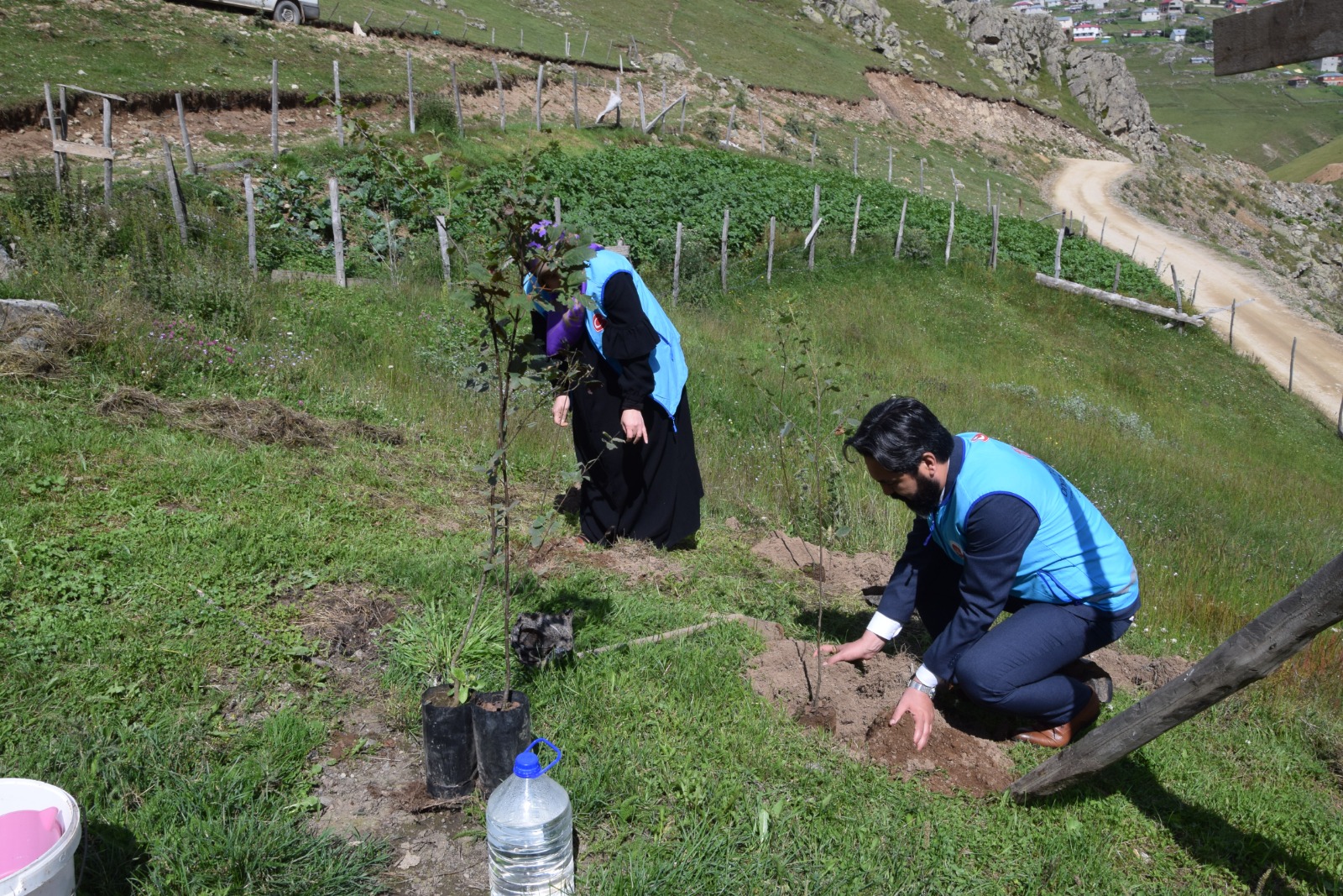 Giresun Karaovacık Yaylası’nda Fidanlar Toprakla Buluşturuldu