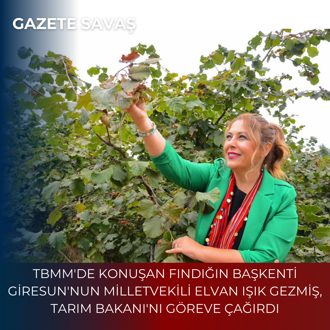 TBMM’DE KONUŞAN FINDIĞIN BAŞKENTİ GİRESUN’NUN MİLLETVEKİLİ ELVAN IŞIK GEZMİŞ, TARIM BAKANI’NI GÖREVE ÇAĞIRDI