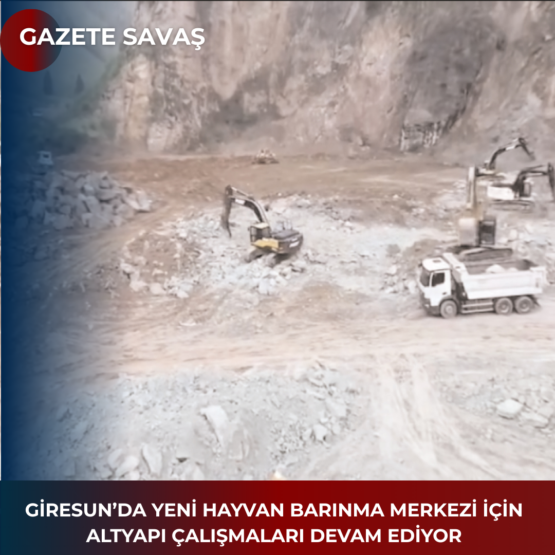 GİRESUN’DA YENİ HAYVAN BARINMA MERKEZİ İÇİN ALTYAPI ÇALIŞMALARI DEVAM EDİYOR