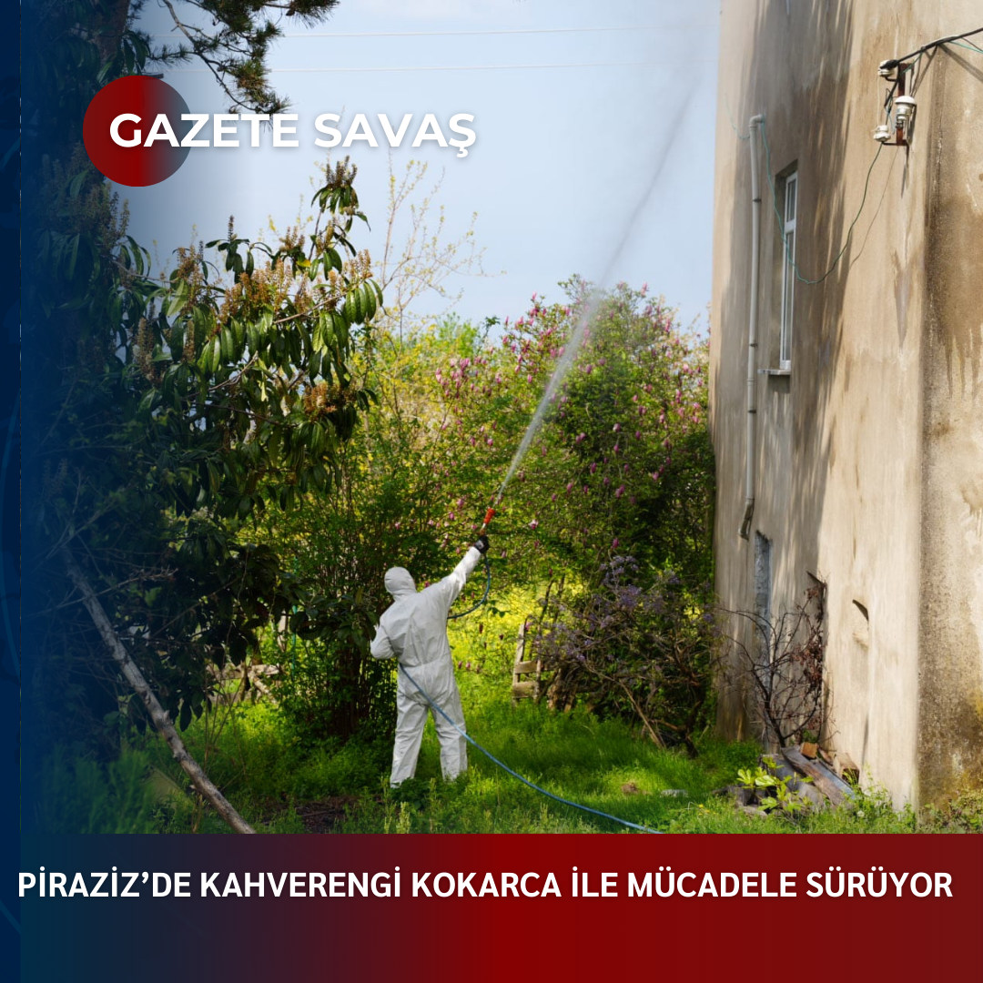 PİRAZİZ’de KAHVERENGİ KOKARCA İLE MÜCADELE SÜRÜYOR