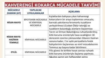 KAHVERENGİ KOKARCA İLE MÜCADELE TAKVİMİ AÇIKLANDI