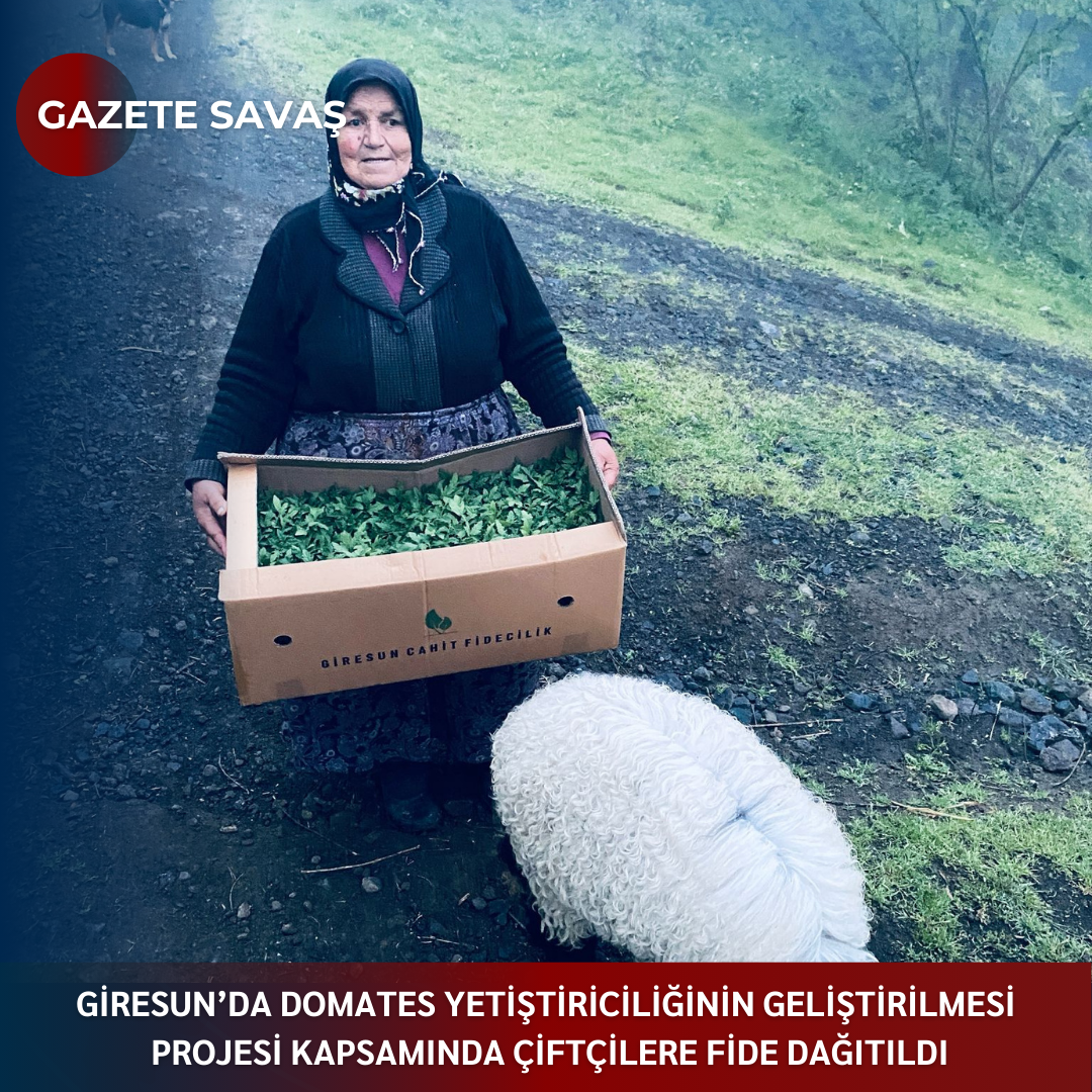 GİRESUN’DA DOMATES YETİŞTİRİCİLİĞİNİN GELİŞTİRİLMESİ PROJESİ KAPSAMINDA ÇİFTÇİLERE FİDE DAĞITILDI