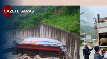 GİRESUN İL TARIM VE ORMAN MÜDÜRLÜĞÜ’nden DUYURU