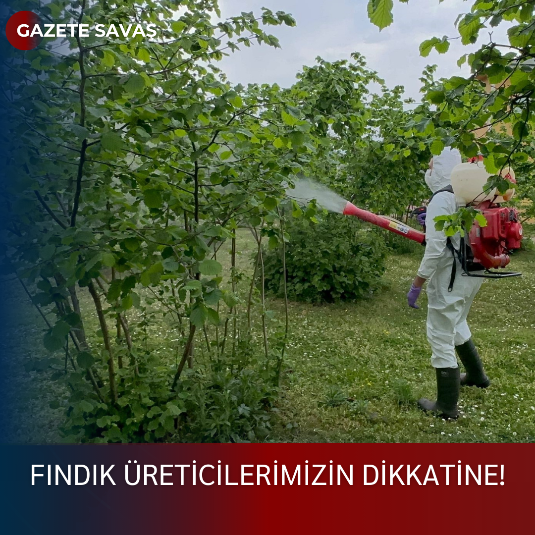 FINDIK ÜRETİCİLERİMİZİN DİKKATİNE!
