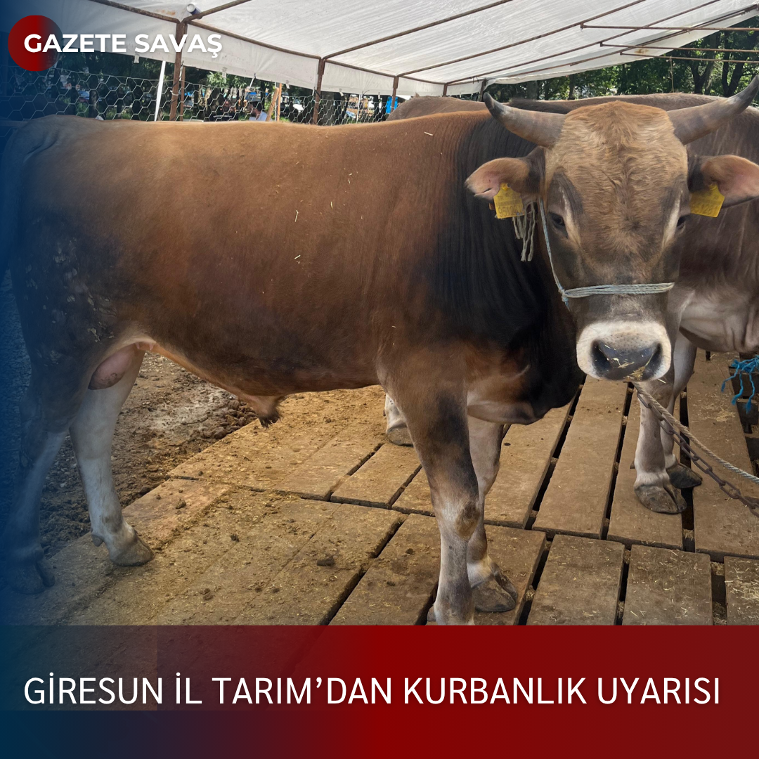 GİRESUN İL TARIM’dan KURBANLIK UYARISI