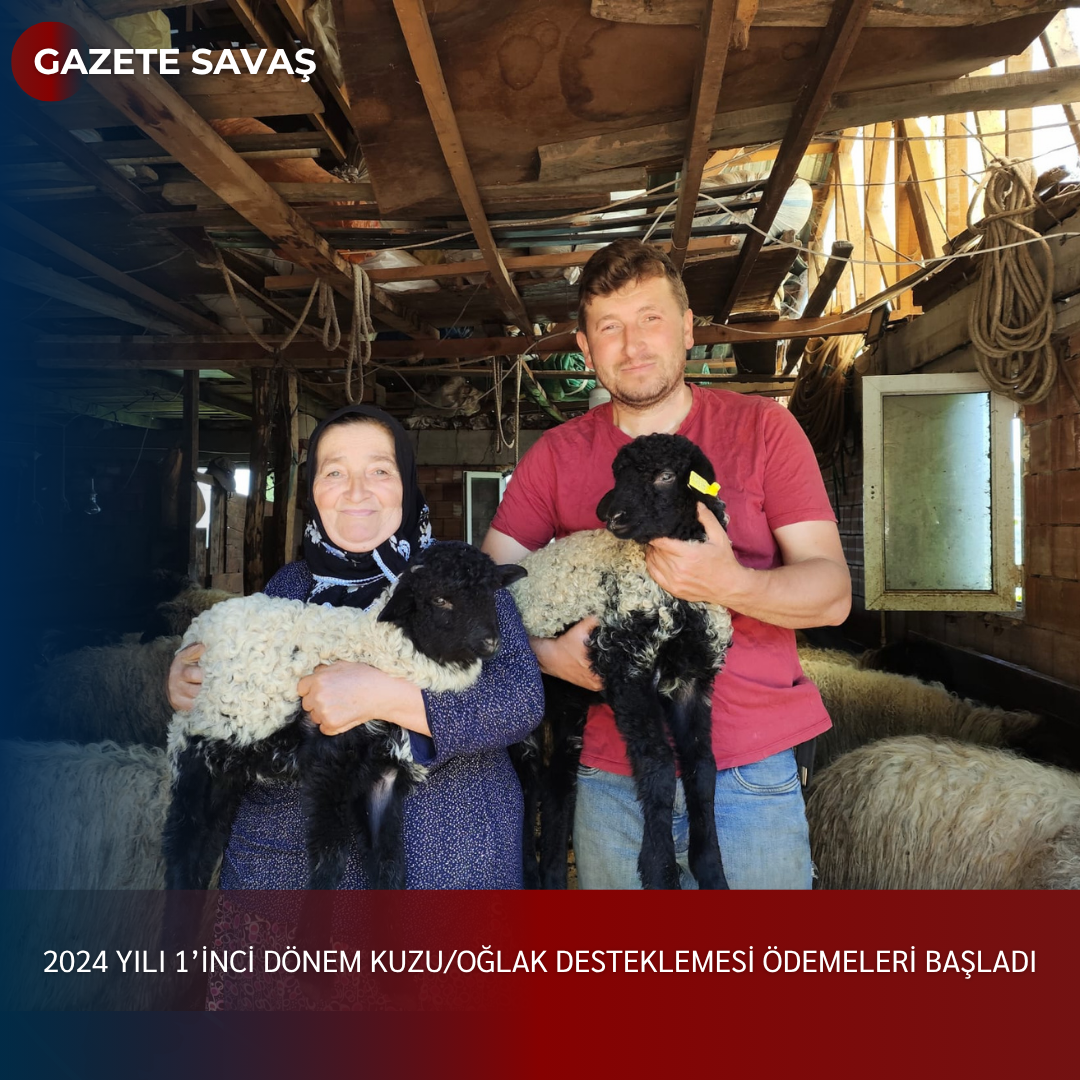 2024 YILI 1’inci DÖNEM KUZU/OĞLAK DESTEKLEMESİ ÖDEMELERİ BAŞLADI