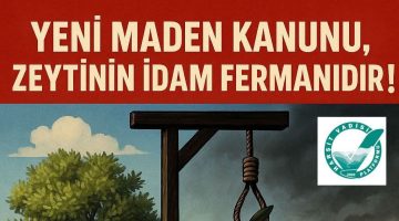 ÇETİNKAYA, “BUGÜN ZEYTİN YARIN FINDIK ALANLARI TEHLİKE ALTINDA”