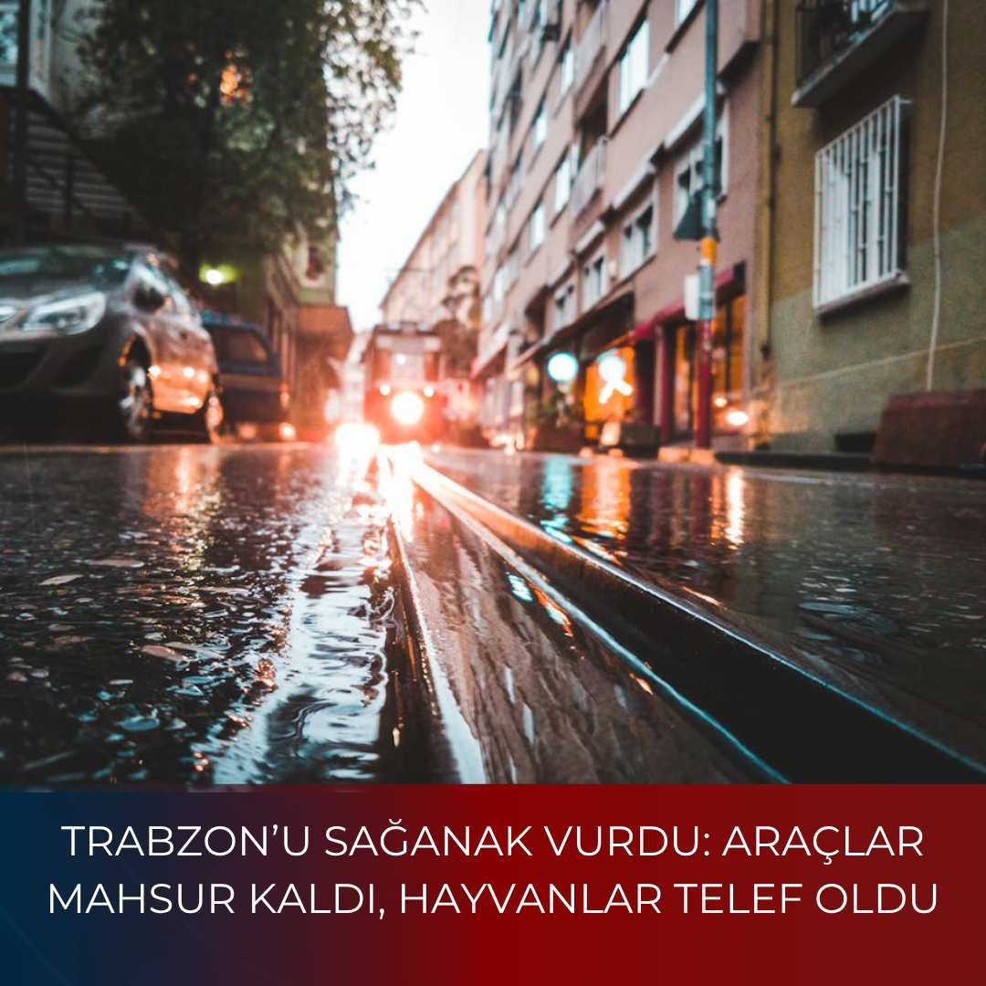 TRABZON’U SAĞANAK VURDU: ARAÇLAR MAHSUR KALDI, HAYVANLAR TELEF OLDU