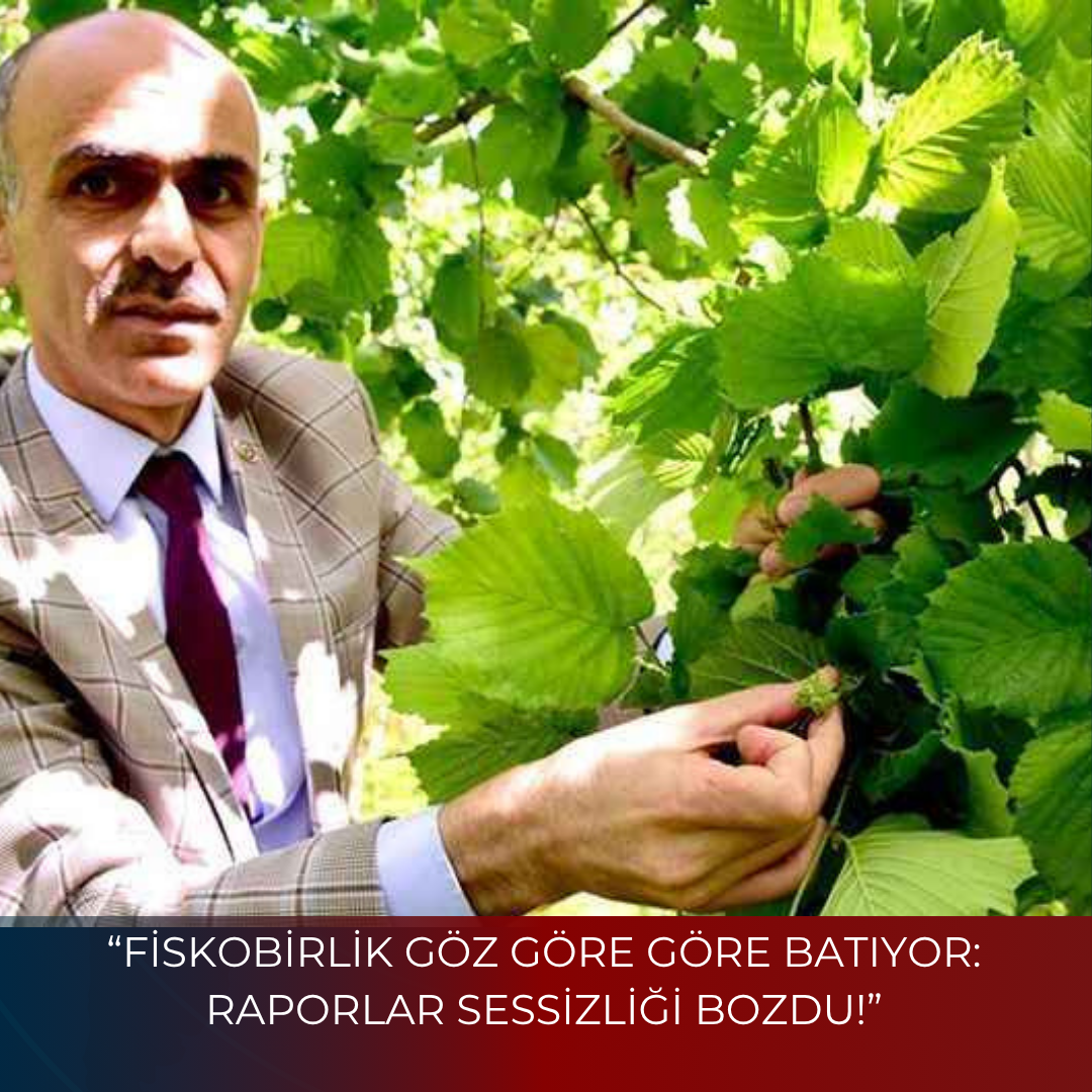“FİSKOBİRLİK GÖZ GÖRE GÖRE BATIYOR: RAPORLAR SESSİZLİĞİ BOZDU!”