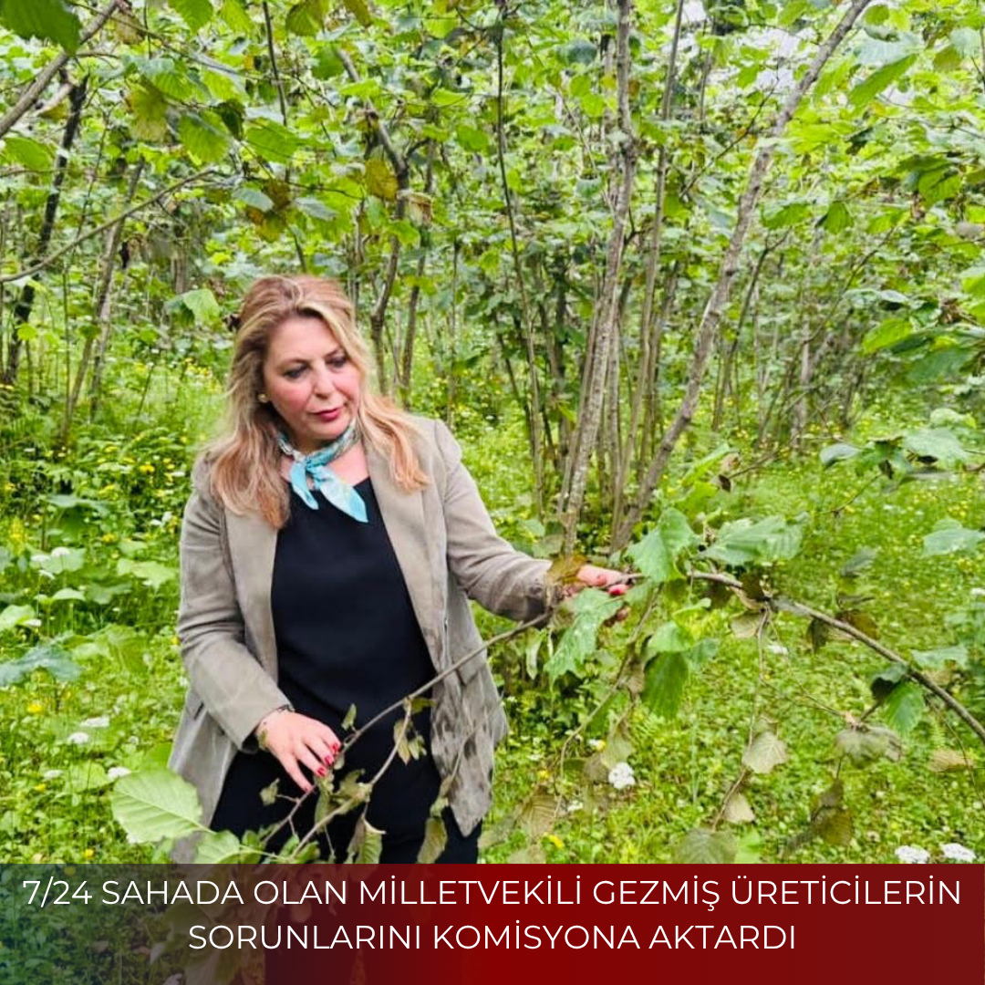 7/24 SAHADA OLAN MİLLETVEKİLİ GEZMİŞ ÜRETİCİLERİN SORUNLARINI KOMİSYONA AKTARDI