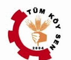 TÜM KÖY SEN, “HAYDİ MİTİNGE VE PANELE!”