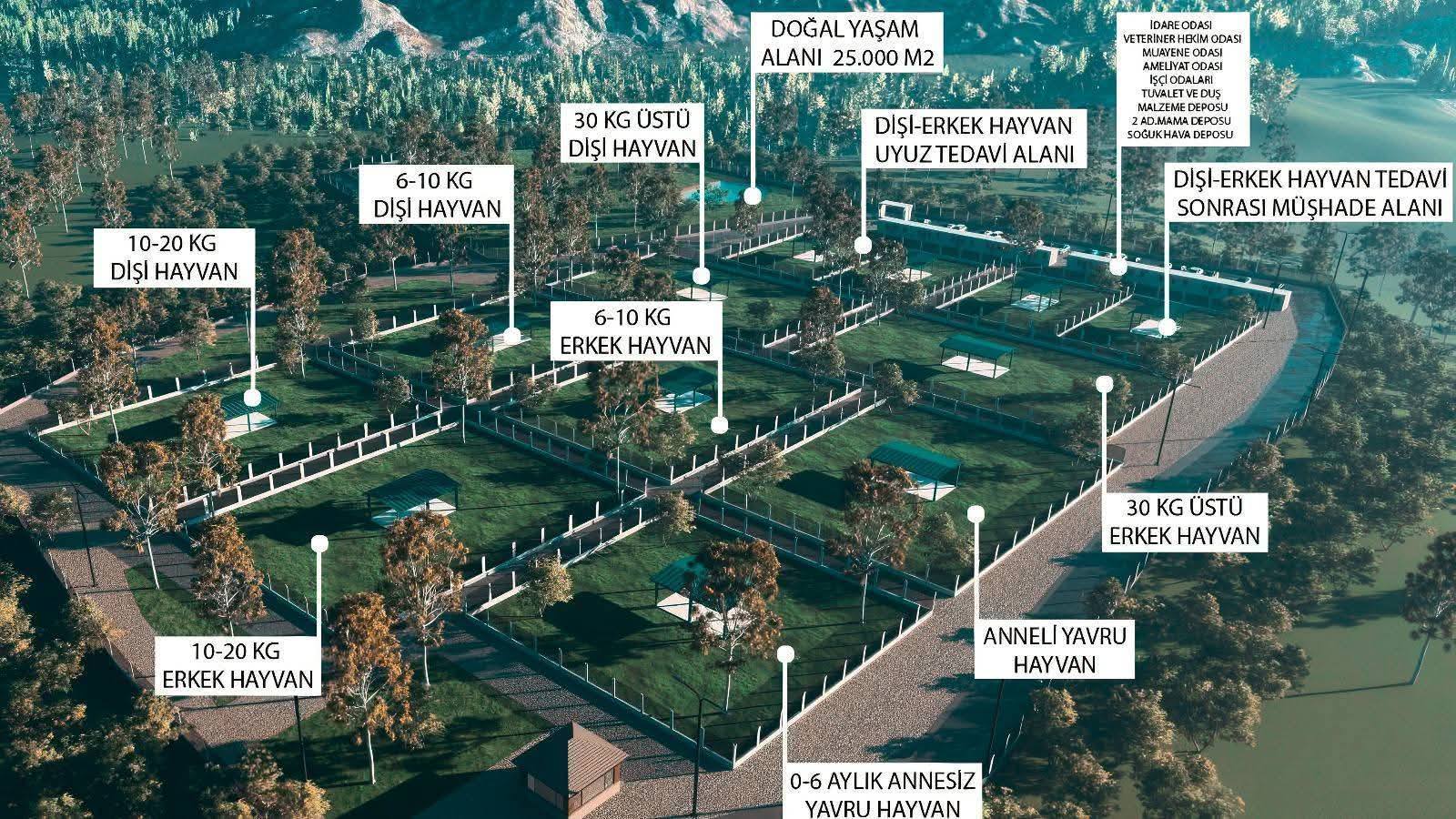 SOKAK HAYVANLARINA MODERN YAŞAM ALANI