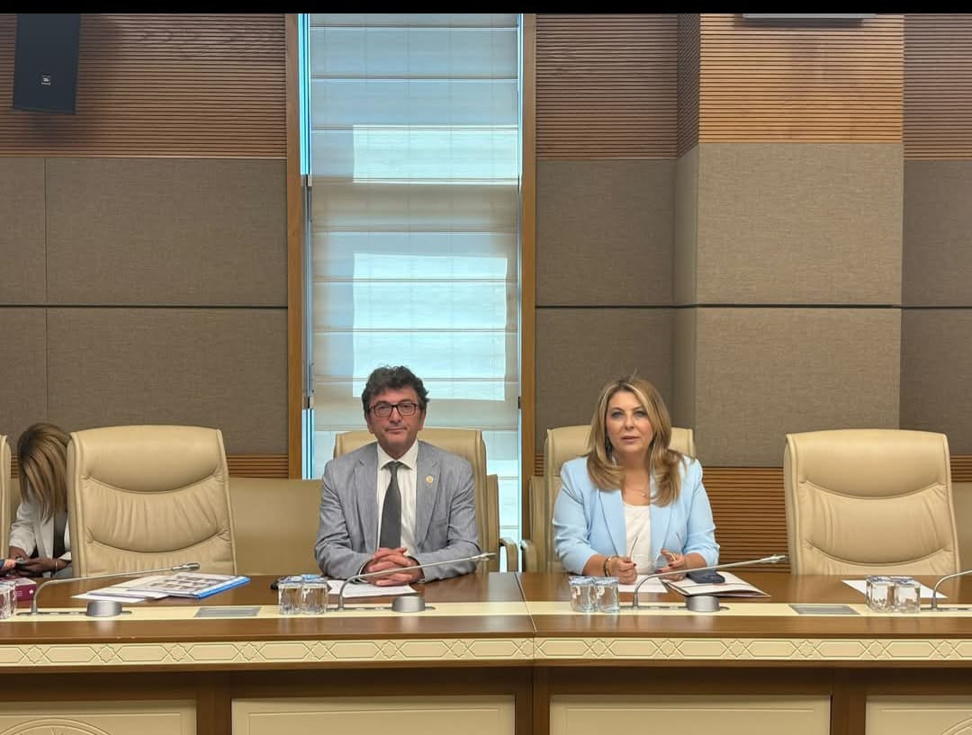 MİLLETVEKİLİ IŞIK GEZMİŞ TBMM ENGELLİ KOMİSYONU’NDA