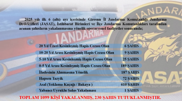 JANDARMADAN İLK 6 AYDA ARANAN ŞAHISLARA YÖNELİK ETKİN OPERASYON