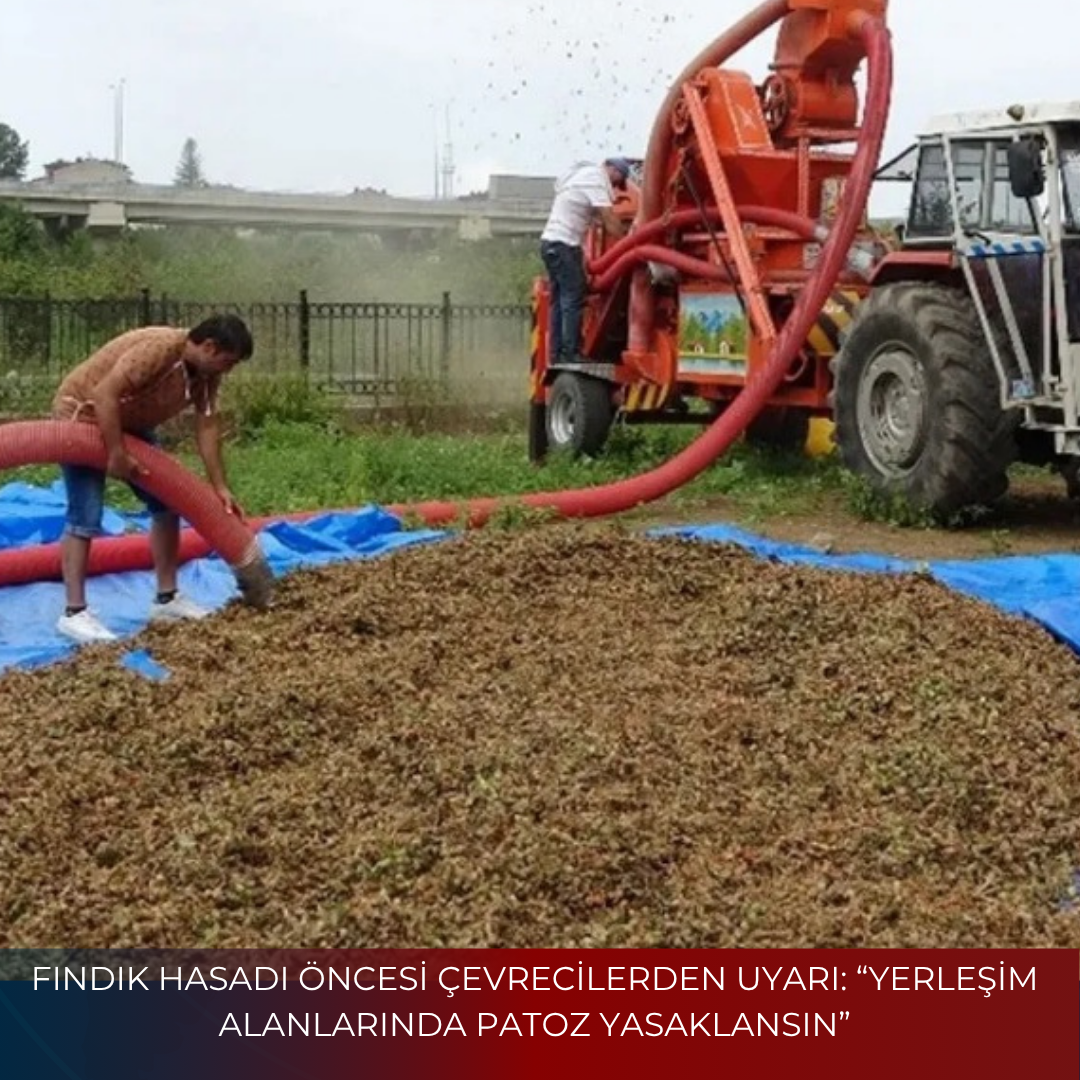 FINDIK HASADI ÖNCESİ ÇEVRECİLERDEN UYARI: “YERLEŞİM ALANLARINDA PATOZ YASAKLANSIN”