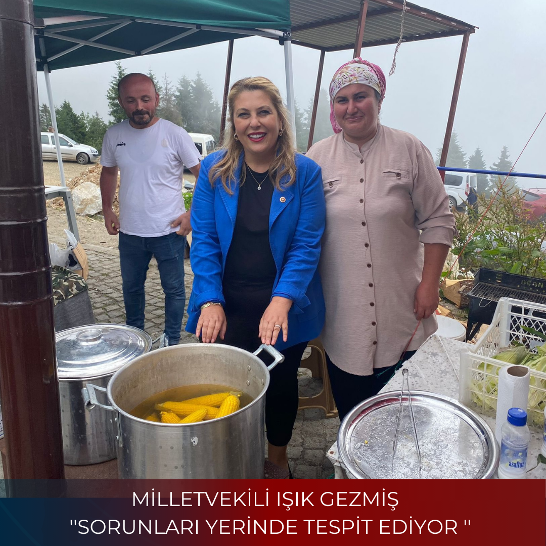 MİLLETVEKİLİ IŞIK GEZMİŞ  ”SORUNLARI YERİNDE TESPİT EDİYOR”
