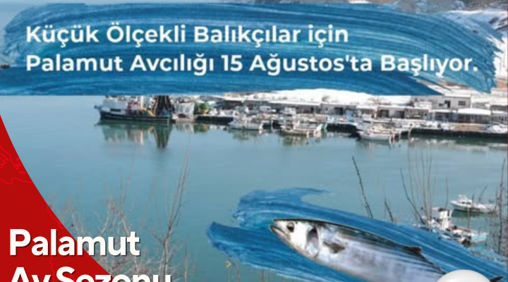 Palamut Av Sezonu Bugün Açıldı