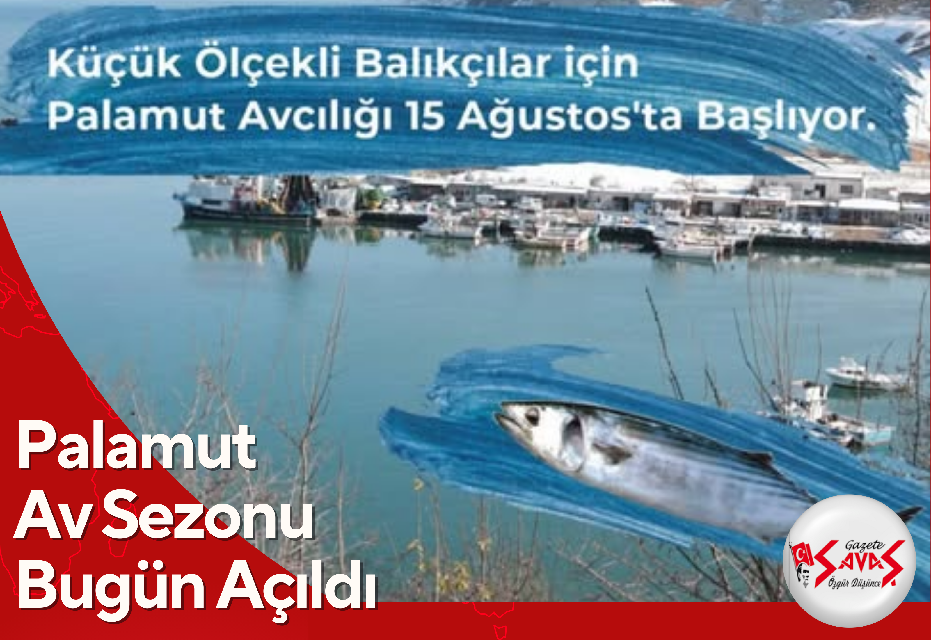 Palamut Av Sezonu Bugün Açıldı