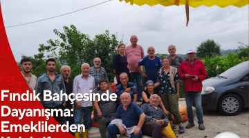 Fındık Bahçesinde Dayanışma: Emeklilerden Kolektif Üretim Hamlesi