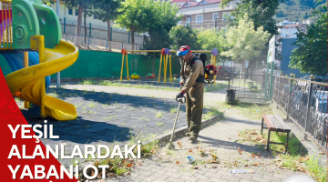 YEŞİL ALANLARDAKİ YABANİ OT TEMİZLİĞİ HIZ KAZANDI