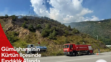 Gümüşhane’nin Kürtün İlçesinde Fındıklık Alanda Başlayan Yangın Kontrol Altına Alındı