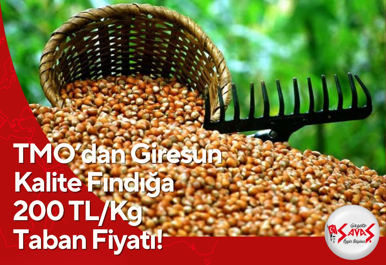 TMO’dan Giresun Kalite Fındığa 200 TL/Kg Taban Fiyatı!