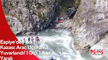 Espiye’de Feci Trafik Kazası: Araç Uçuruma Yuvarlandı! 1 Ölü, 1 Ağır Yaralı