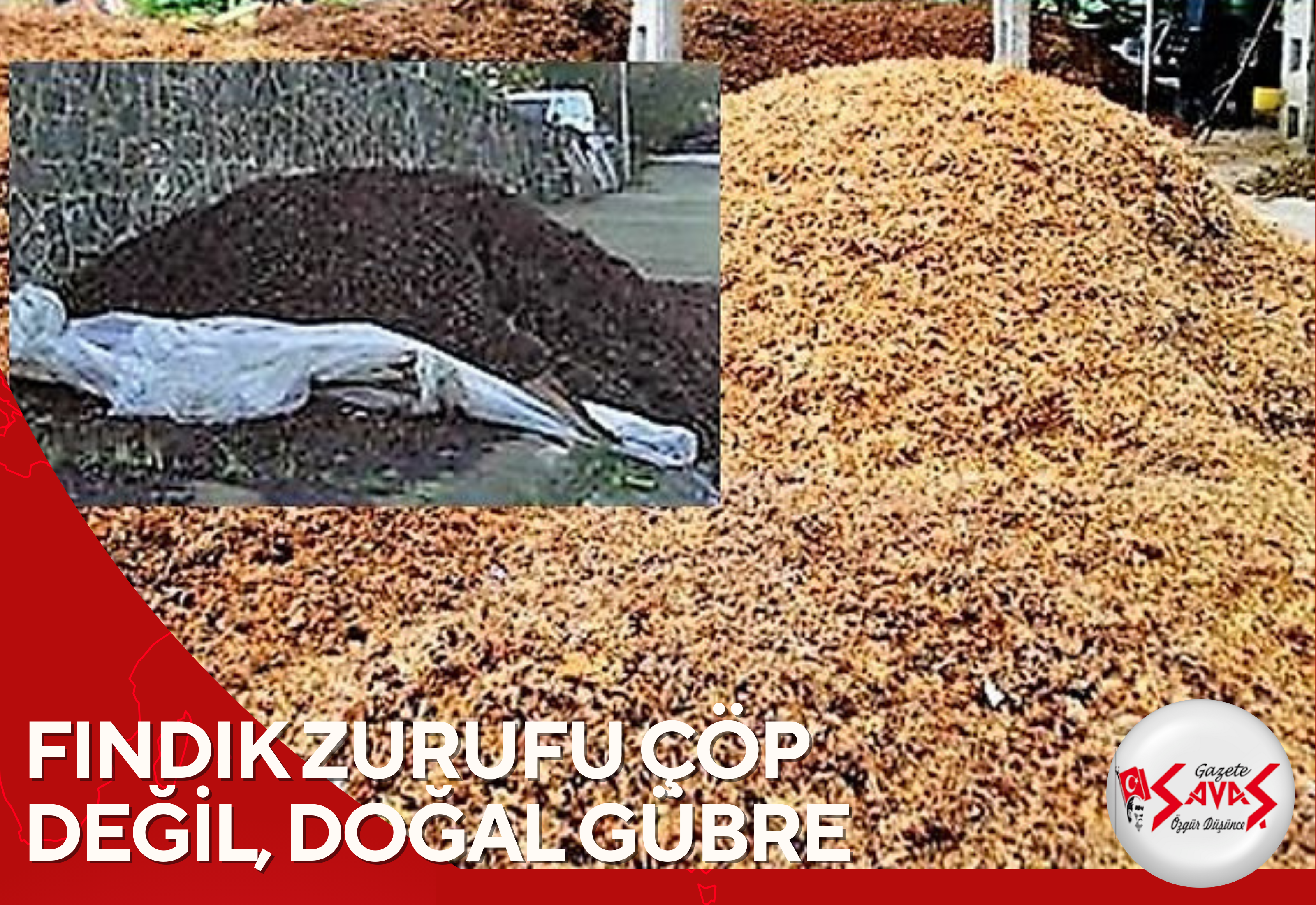 FINDIK ZURUFU ÇÖP DEĞİL, DOĞAL GÜBRE