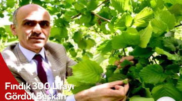Fındık 300 Lirayı Gördü! Başkan Karan’dan Üreticilere Kritik Uyarı