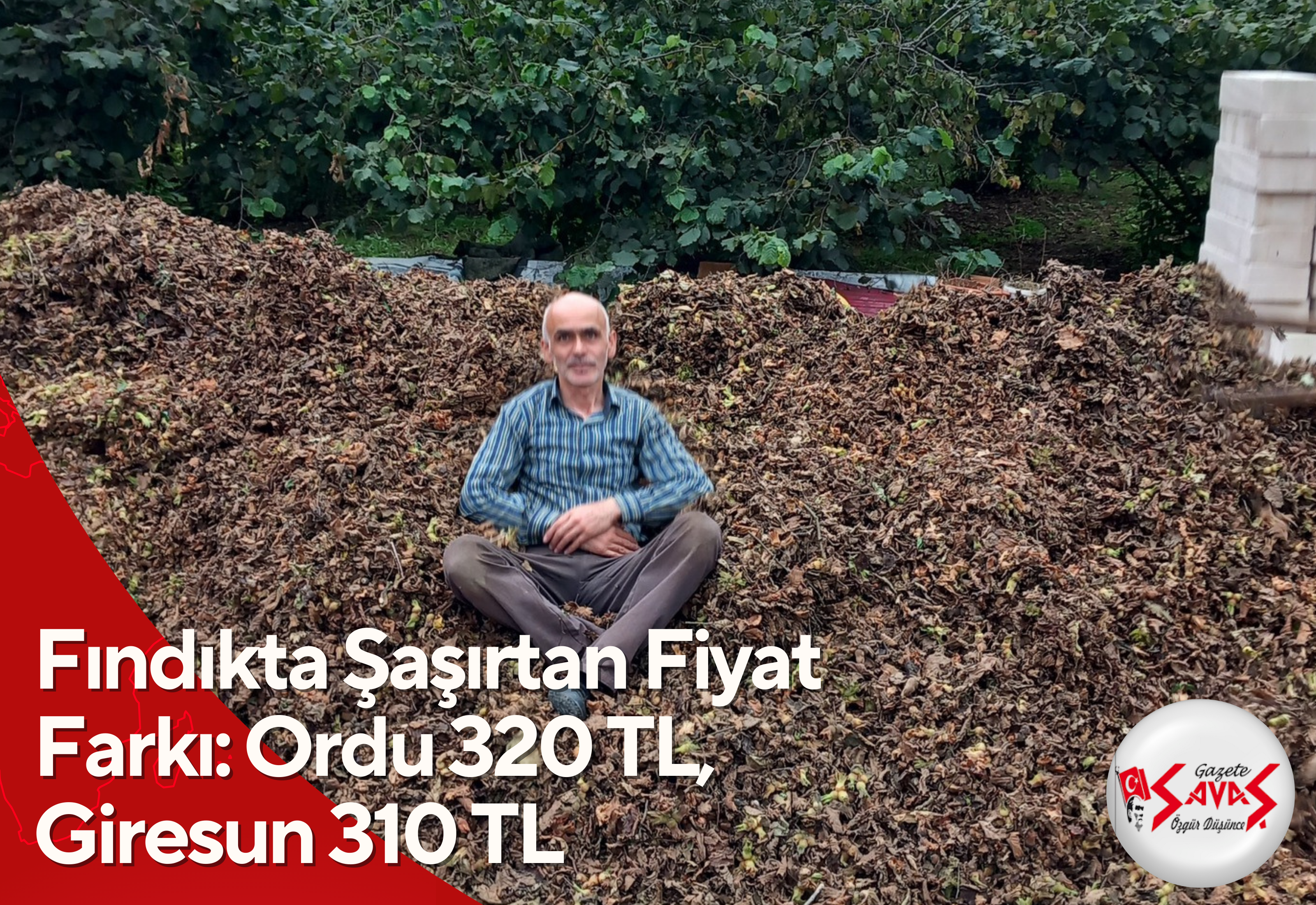 Fındıkta Şaşırtan Fiyat Farkı: Ordu 320 TL, Giresun 310 TL