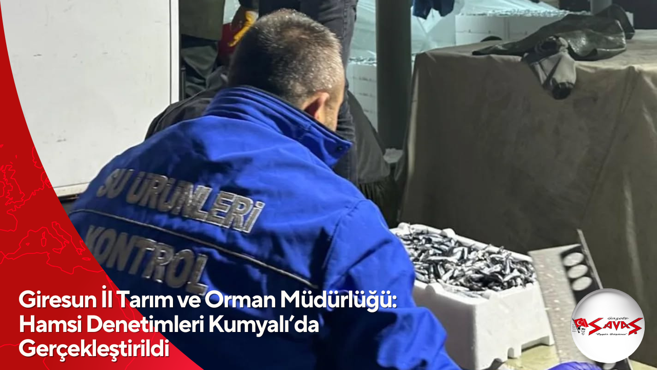 Giresun İl Tarım ve Orman Müdürlüğü: Hamsi Denetimleri Kumyalı’da Gerçekleştirildi