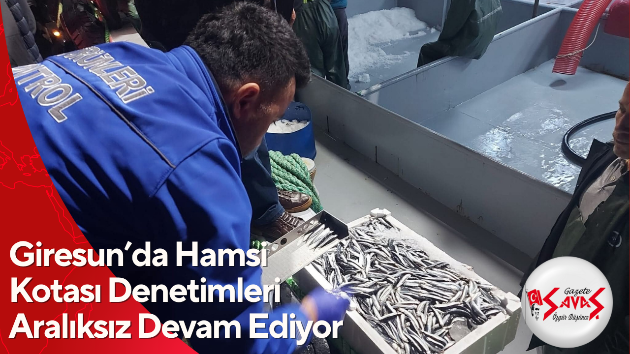 Giresun’da Hamsi Kotası Denetimleri Aralıksız Devam Ediyor