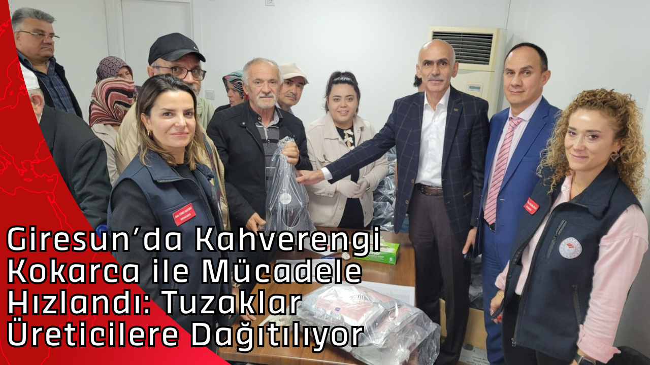 Giresun’da Kahverengi Kokarca ile Mücadele Hızlandı: Tuzaklar Üreticilere Dağıtılıyor