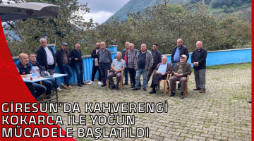 GİRESUN’DA KAHVERENGİ KOKARCA İLE YOĞUN MÜCADELE BAŞLATILDI