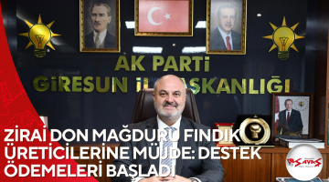 ZİRAİ DON MAĞDURU FINDIK ÜRETİCİLERİNE MÜJDE: DESTEK ÖDEMELERİ BAŞLADI