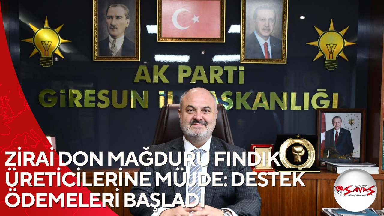 ZİRAİ DON MAĞDURU FINDIK ÜRETİCİLERİNE MÜJDE: DESTEK ÖDEMELERİ BAŞLADI
