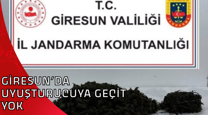 GİRESUN’DA UYUŞTURUCUYA GEÇİT YOK