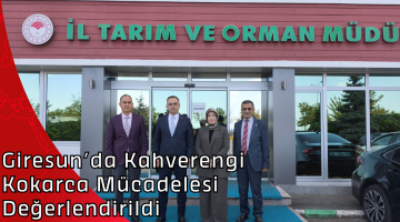 Giresun’da Kahverengi Kokarca Mücadelesi Değerlendirildi